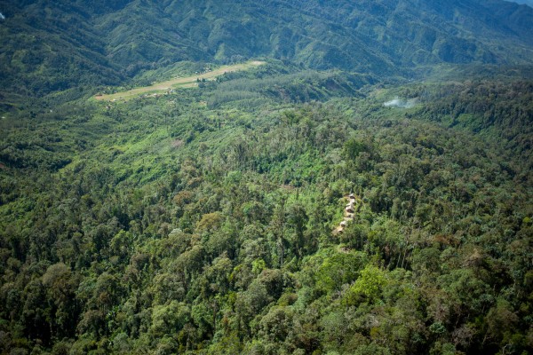 Pandanus garden huts in the Simbari mountains